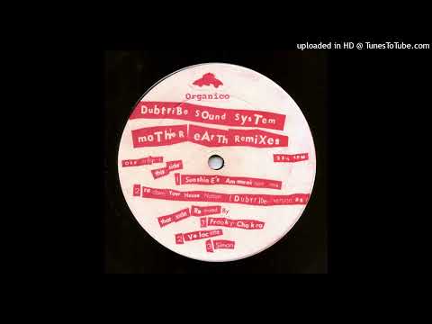 Dubtribe Sound System - Mother Earth (Reclaim Your House Nation) (Dubtribe Version '95)