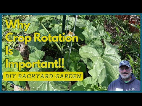 Why Crop Rotation Is Important!