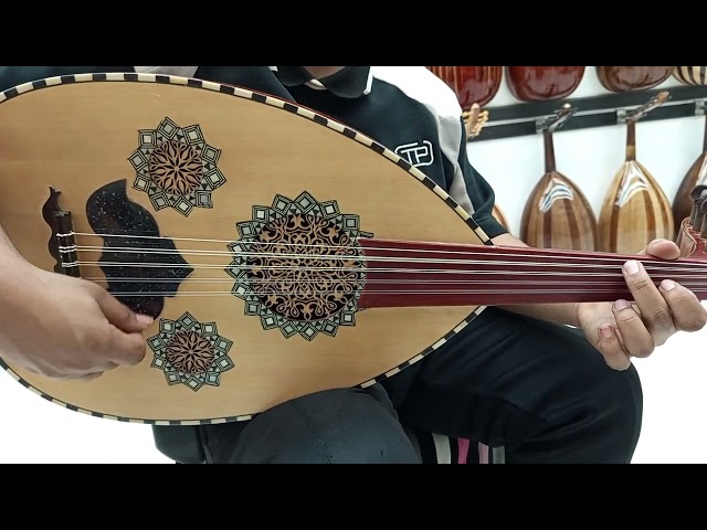 متوفر الحجز المسبق فقط عود موسيقي احترافي صوت جهور...
