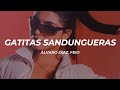 Álvaro Diaz Feid GATITAS SANDUNGUERAS VOL 1 Letra Lyrics