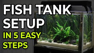 How to Set Up a Freshwater Fish Tank – First Aquarium Setup 