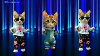 Kucing lucu joget joget lucu #catdance