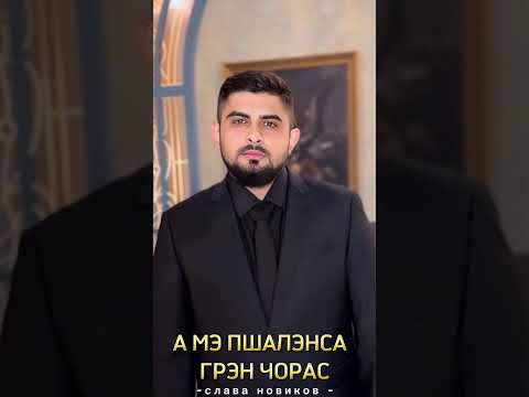 Слава Новиков - А мэ пшалэнса грэн чорас #music #gypsy #romania #музыка
