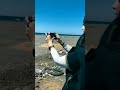 Muslim Queen Drive Car Status WhatsApp Status Short Youtube Short Short Short Youtube Short