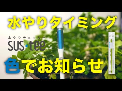 苗の水やりシート：水やりのタイミングを判断する要素とその方法は？  庭園