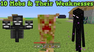 Minecraft - 10 Mobs & Their Weaknesses