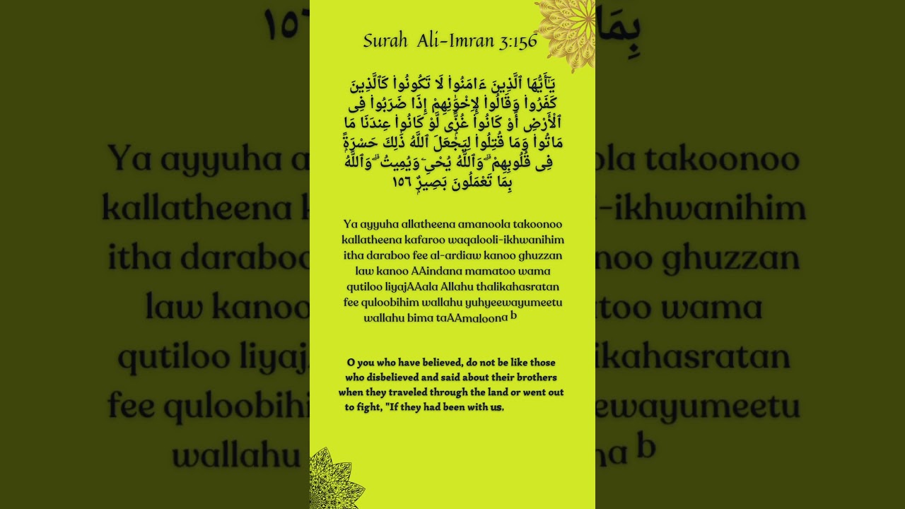 Ali Imran 3 156 surahalimran suratalimran islam islamic islamicvideo ...