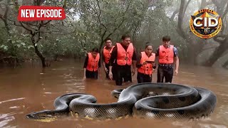 CID Team का हुआ जब Anaconda सांप से सामना || CID | TV Serial Latest Episode