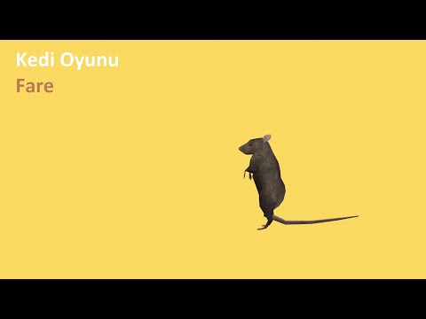 Kedi Oyunu - Fare Yakalama | Kedilerin İzlemesi İçin Eğlenceli Fare Yakalama Videosu