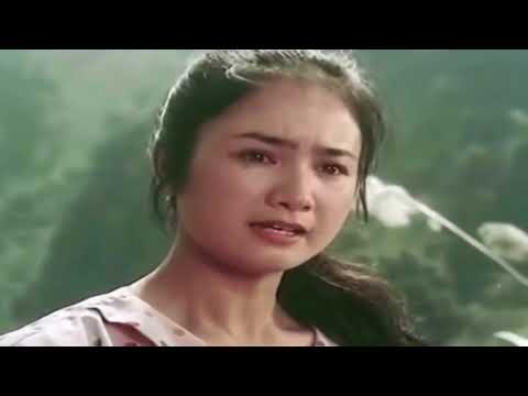 Bán Thân Ngàn Lượng Vàng