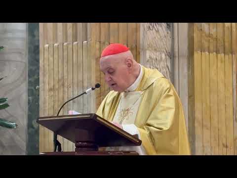 HOMILY 6 JANUARY 2026, EPIPHANY OF THE LORD - CARDINAL ANGELO COMASTRI