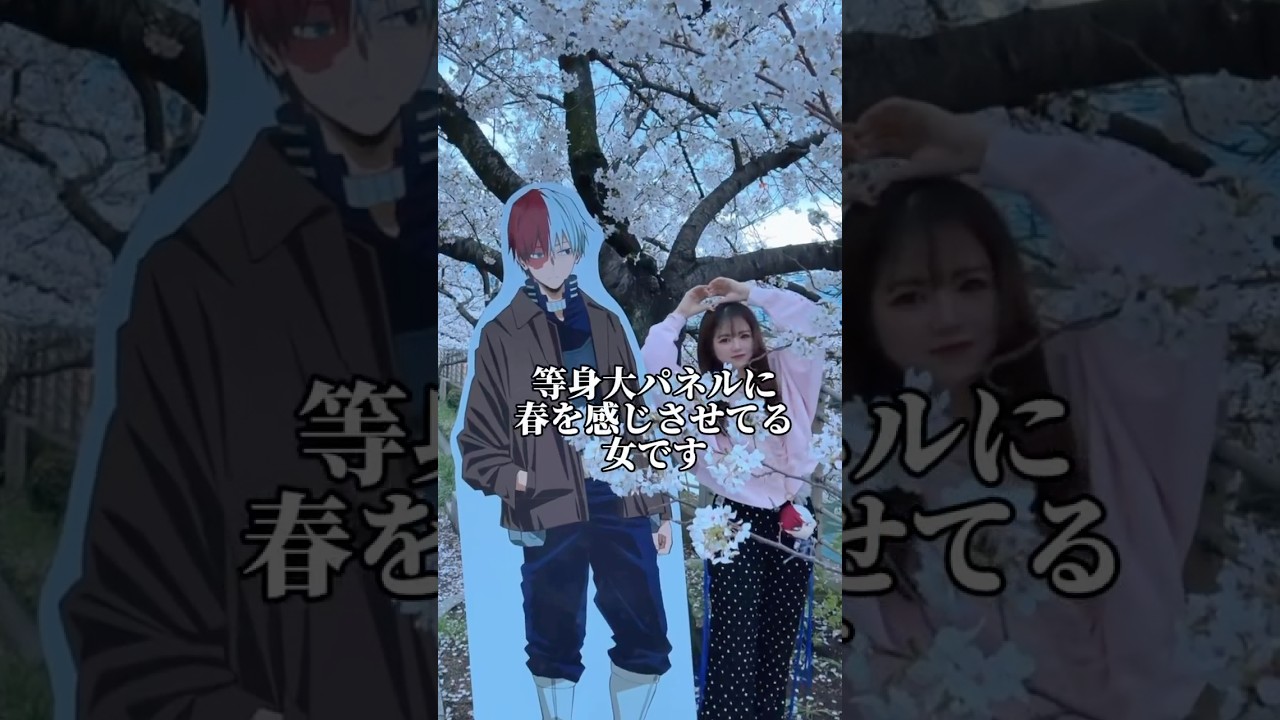 【推しと花見】普通におかしい日だった　　　　　　　　　　#僕のヒーローアカデミア #ヒロアカ #推し活 #オタ活 #轟焦凍 #お花見#休日vlog