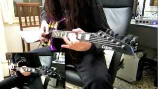 Guitar videos - DANIELE LIVERANI - Brother