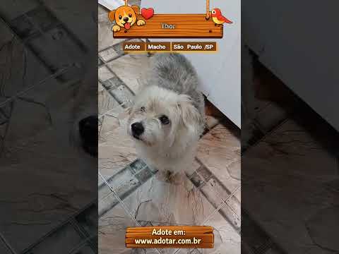 Vídeo de Thor