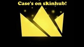 Skinhub how to make a cool case!
