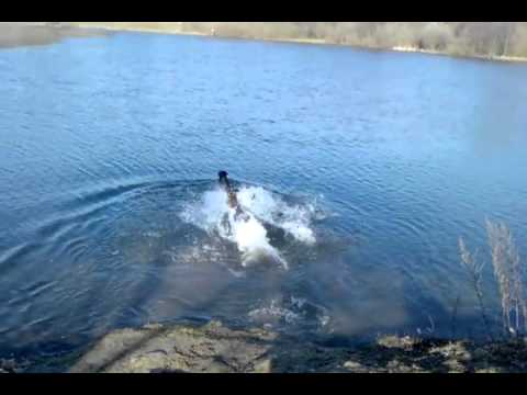 Devaki und Coco - Ratingen Grüner See