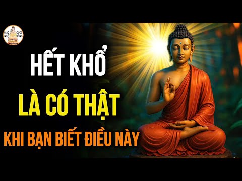 Hết Khổ Là Có Thật – Khi Bạn Hiểu Đúng Về Nghiệp Và Buông Bỏ Đúng Cách