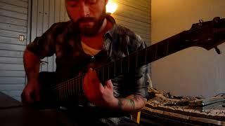 STRAPPING YOUNG LAD - Force Fed Guitar Cover