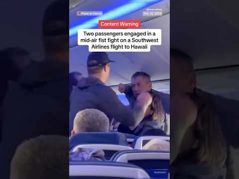 Mid-air fist fight on plane to Hawaii ￼