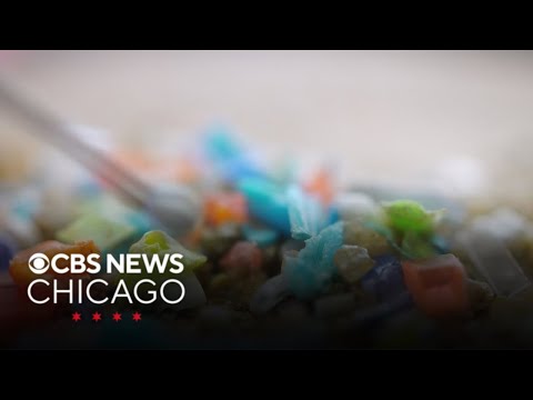 Microplastic particles can cause damage to human tissue ...