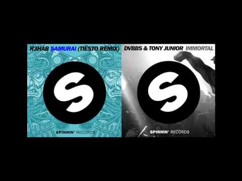 DVBBS & Tony Junior vs R3HAB (Tiesto Remix) - Immortal Samurai (DjCricKeeT's Mashup)