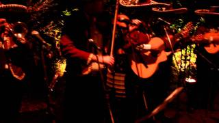 Jarabe Tapatío - Mariachi Sol de América