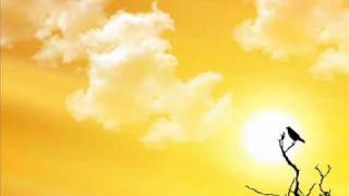 A E R Sweet To The Stars Unreleased Mix