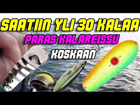 Kalastusta Lusikoilla