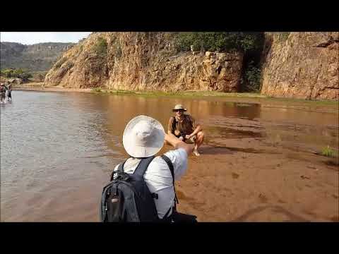 Walking in the Luvuvhu River towards Lanner Gorge