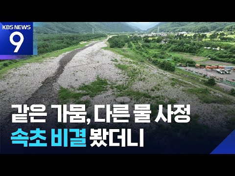 아이콘