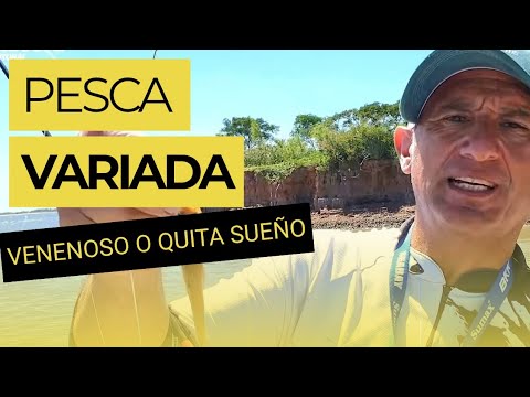 PESCA DE VARIADA EN BELLA VISTA - BUSCANDO ESPECIES CON DIFERENTES CARNADAS.