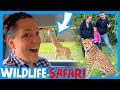 PICTURE WITH A CHEETAH WIldlife Safari Animal Adventure RV Oregon With Kids