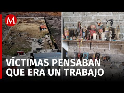 Así lograron localizar el campo de exterminio del CJNG en Jalisco