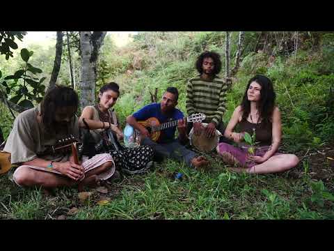 Corona de Plumas // Live Session