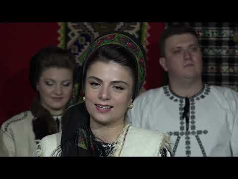 Anca Marginean - Urme-n palma