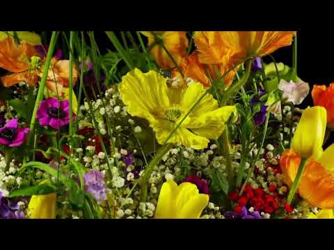 Opwekking 393 Lam van God 1B