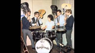The Honeycombes - have i the right (HQ)