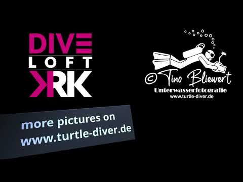 Dive Loft Krk - Tauchen in Kroatien im Diveloft Krk in Vrbnik