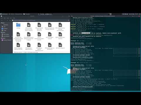 ArcoLinux : 2766 Carli 11 installed - test the arcolinux-nemesis scripts and create your own