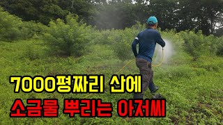 7000평짜리 산에 바닷물 뿌려서 약초 키우는 아저씨!!