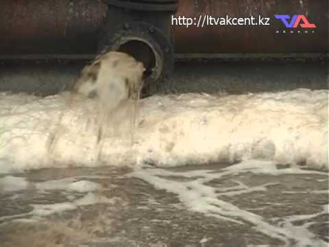 Выпуск программы «День» от 26 января 2016г.