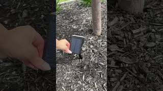 Brighten Your Yard with WELALO Solar Spot Lights#marketpoint #amazonfi