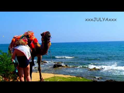 Camel on a beach Rubi Platinum (Верблюд на пляже Руби Платинум)