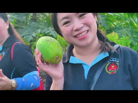 大埔幼稚园《Kebun Kita 亲子游》