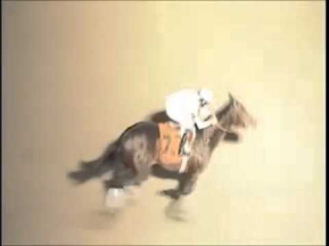 Keeneland Sales Graduate Spotlight: MO TOM