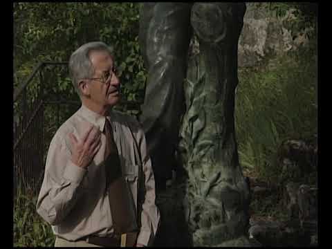 L'estudi d'un mond