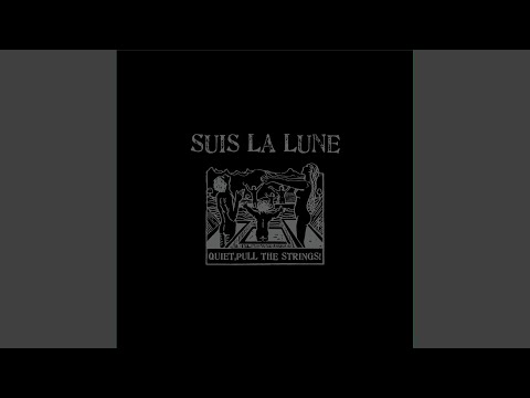 My Mind Is A Birdcage