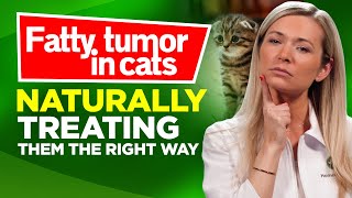 6 Natural Remedies for Fatty Tumor in Cats You Should Know About