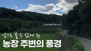 절망에 빠진 귀농4년차 청년농부