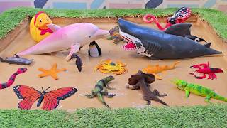 Save the Seas! Discover Ocean Animals & Reptiles Bugs – Adventure for 